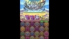 ゼウス・マーキュリー降臨！海澪神 超地獄級　パンドラPT (高速周回)【パズドラ】
