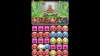 カピバラさんコラボ 極　パロットPT【パズドラ】※Sランク