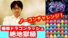 ドラゴンチャレンジ！真龍界 絶地獄級 ブブソニPT【パズドラ】